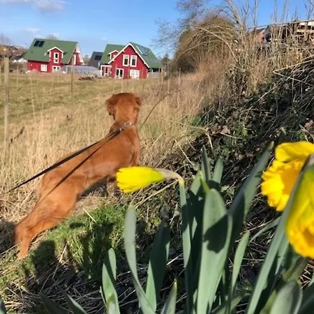 Country Heaven * Грёмиц